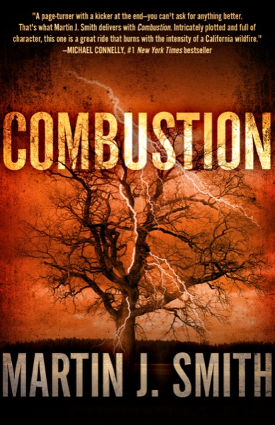 Combustion book cover
